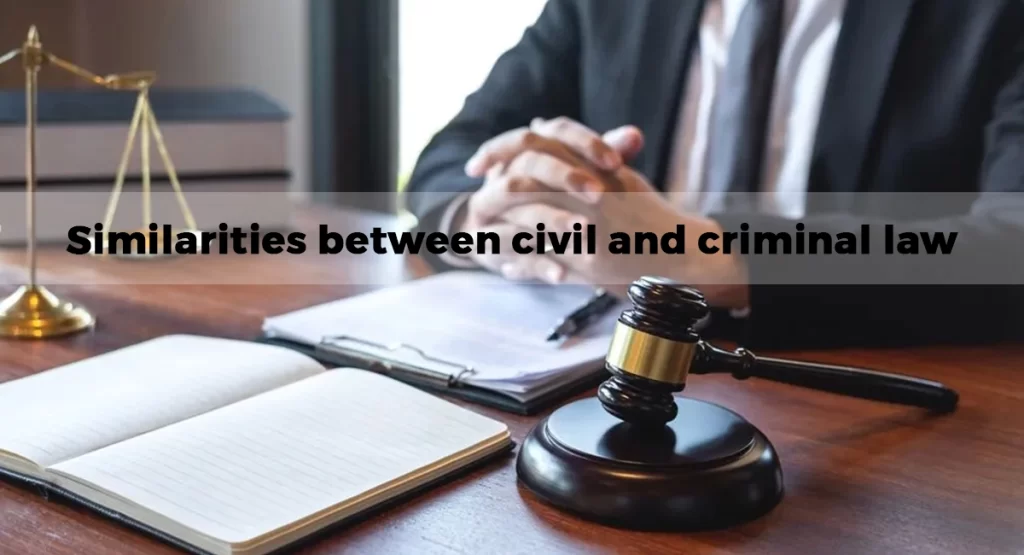 Don't Judge a Case by Its Court: Similarities between civil and criminal law