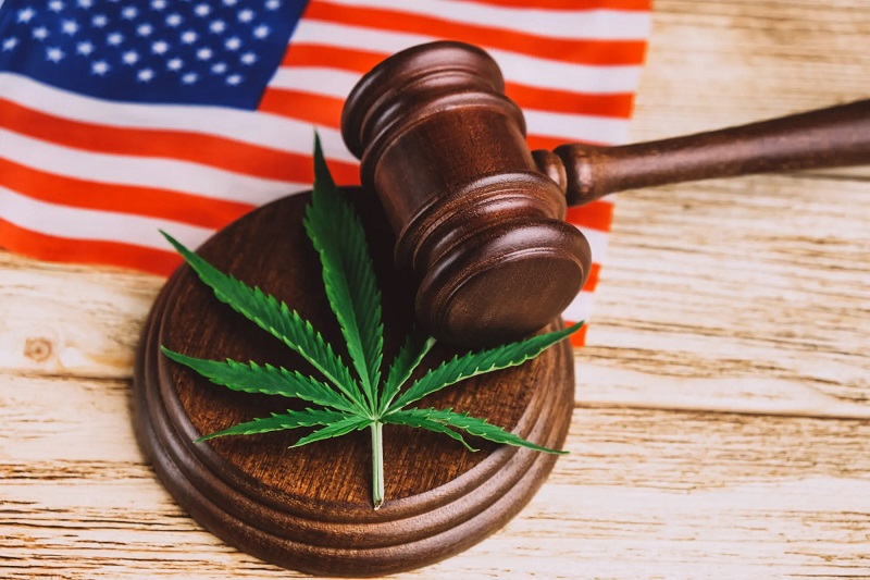 How Texas Almost Banned Legal Hemp in 2025